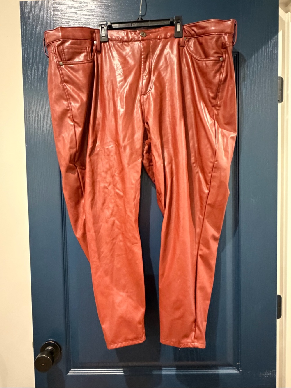 torrid Faux Leather Pants in Rust